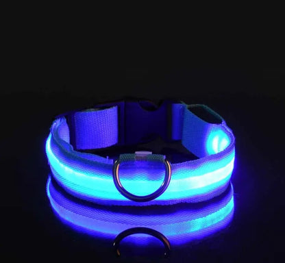 Hundehalsband mit LED-Licht Hundehalsband Retouren-Rebell