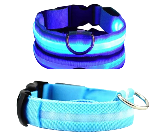 Hundehalsband mit LED-Licht