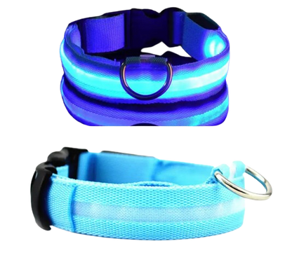 Hundehalsband mit LED-Licht