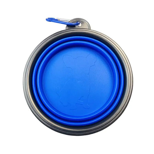 a blue frisbee sitting on top of a table 